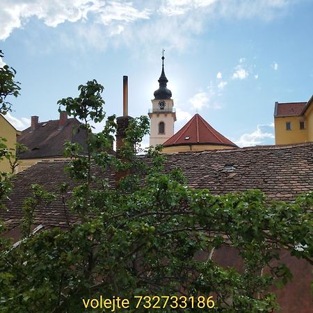 Apartman Horni Hermanuv Mestec U Chrudimi Bagian luar foto